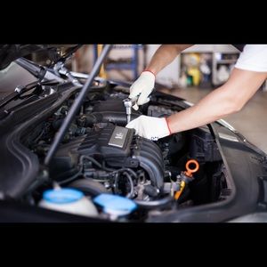 Meet your Posher, Melvin